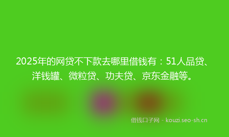 2025年的网贷不下款去哪里借钱有：51人品贷、洋钱罐、微粒贷、功夫贷、京东金融等。