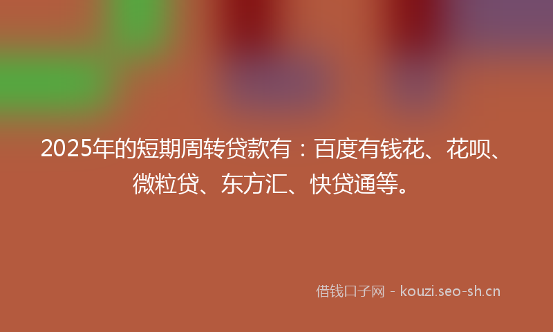 2025年的短期周转贷款有：百度有钱花、花呗、微粒贷、东方汇、快贷通等。
