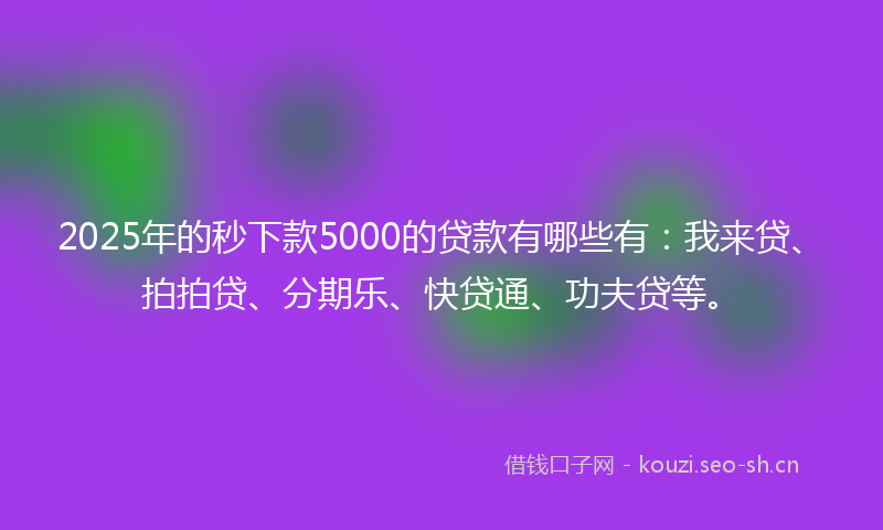 2025年的秒下款5000的贷款有哪些有：我来贷、拍拍贷、分期乐、快贷通、功夫贷等。