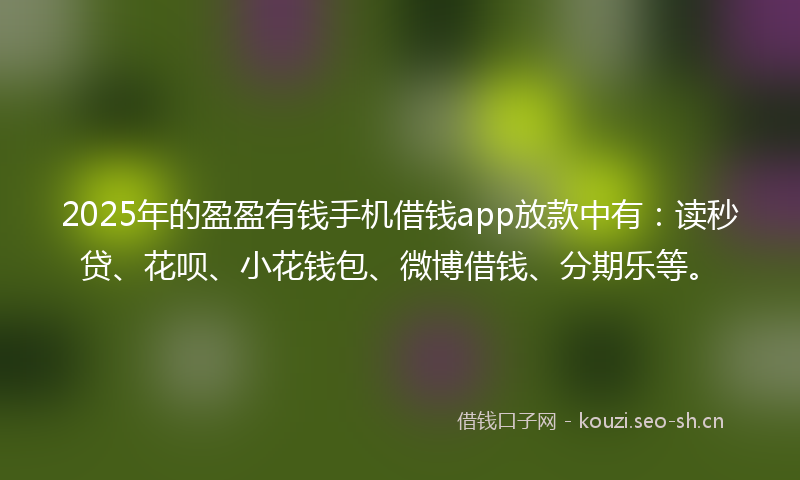 2025年的盈盈有钱手机借钱app放款中有：读秒贷、花呗、小花钱包、微博借钱、分期乐等。