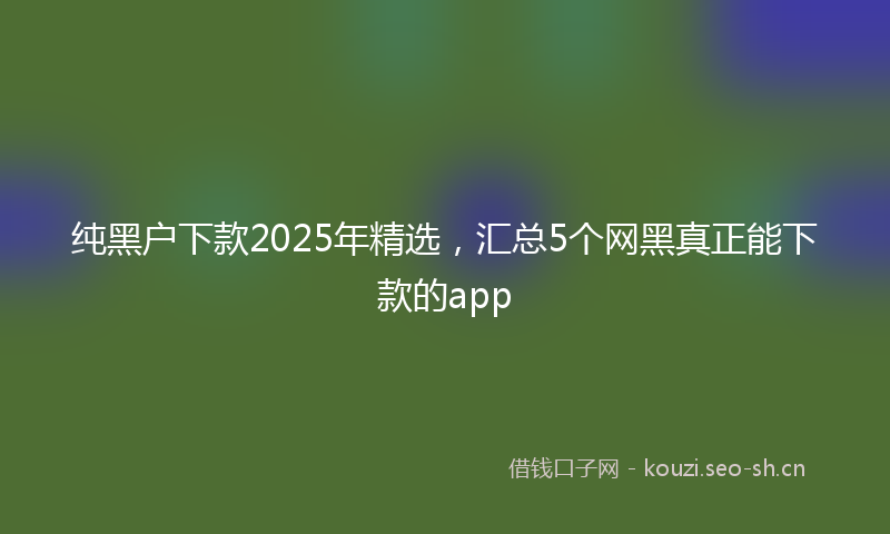 纯黑户下款2025年精选，汇总5个网黑真正能下款的app