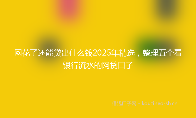 网花了还能贷出什么钱2025年精选，整理五个看银行流水的网贷口子