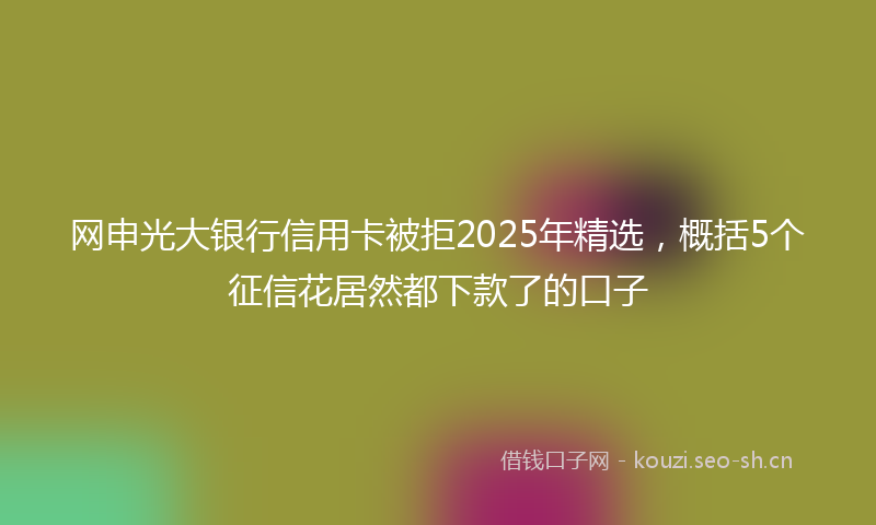 网申光大银行信用卡被拒2025年精选，概括5个征信花居然都下款了的口子