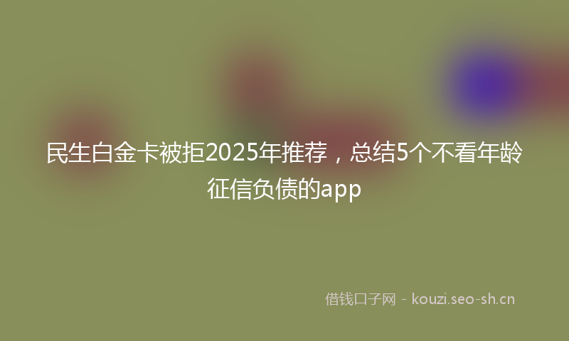 民生白金卡被拒2025年推荐，总结5个不看年龄征信负债的app