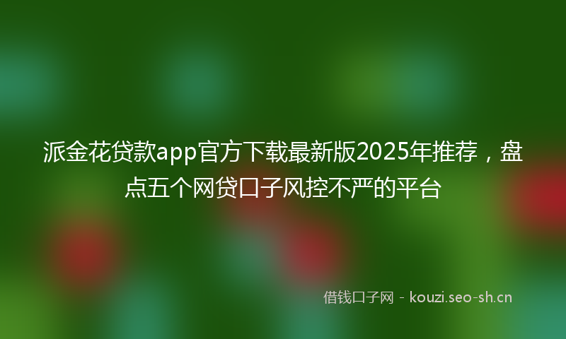 派金花贷款app官方下载最新版2025年推荐，盘点五个网贷口子风控不严的平台