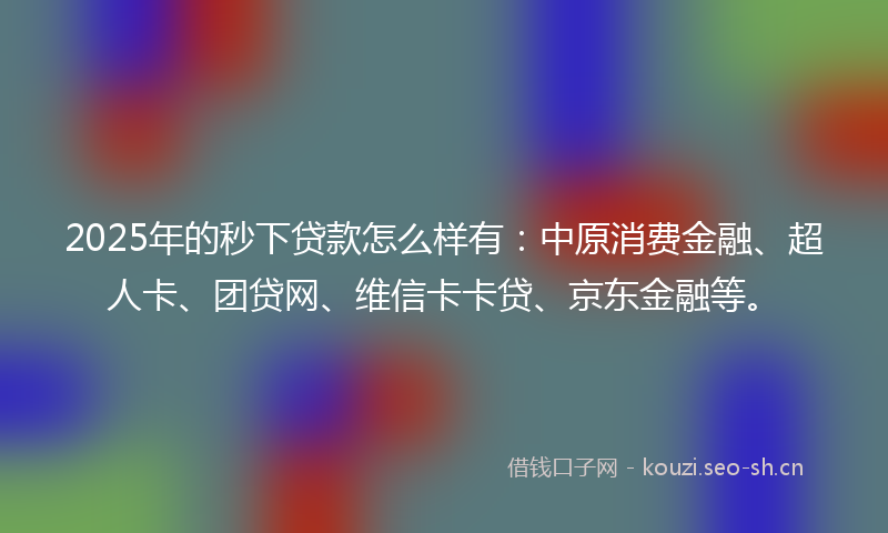 2025年的秒下贷款怎么样有：中原消费金融、超人卡、团贷网、维信卡卡贷、京东金融等。