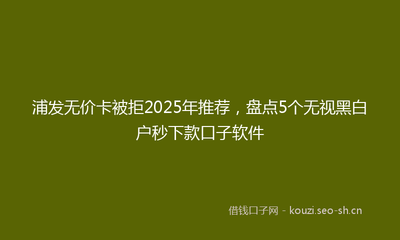 浦发无价卡被拒2025年推荐，盘点5个无视黑白户秒下款口子软件