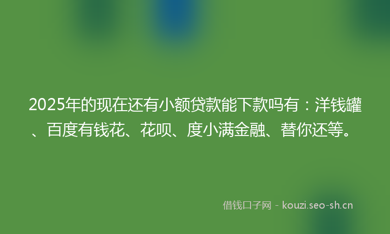 2025年的现在还有小额贷款能下款吗有：洋钱罐、百度有钱花、花呗、度小满金融、替你还等。