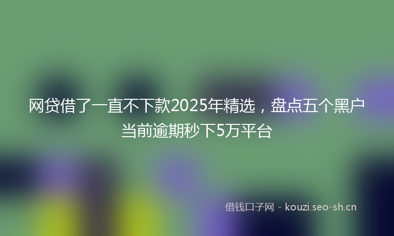 网贷借了一直不下款2025年精选，盘点五个黑户当前逾期秒下5万平台