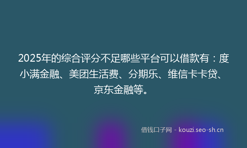 2025年的综合评分不足哪些平台可以借款有：度小满金融、美团生活费、分期乐、维信卡卡贷、京东金融等。