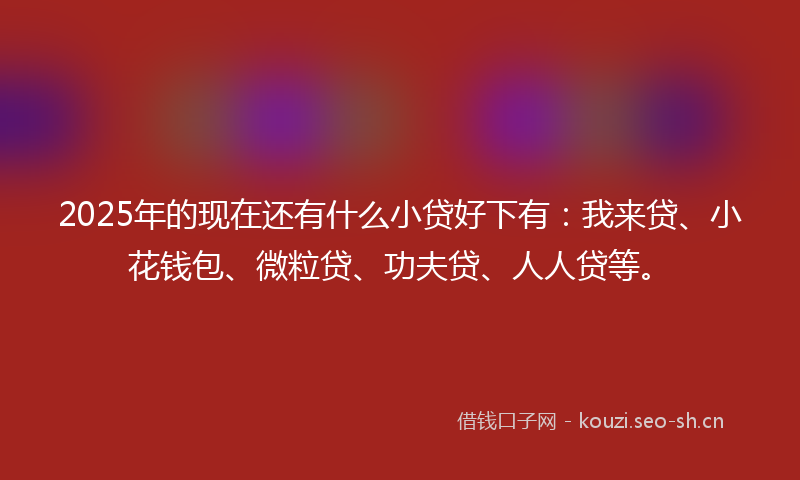2025年的现在还有什么小贷好下有：我来贷、小花钱包、微粒贷、功夫贷、人人贷等。