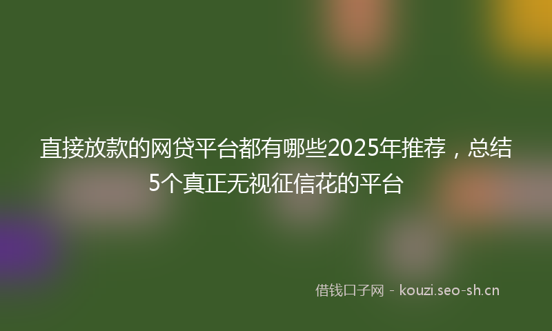 直接放款的网贷平台都有哪些2025年推荐，总结5个真正无视征信花的平台