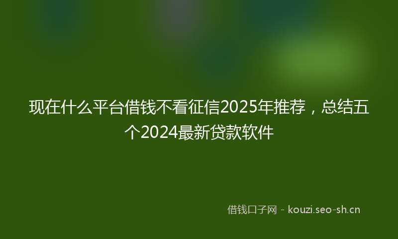 现在什么平台借钱不看征信2025年推荐，总结五个2024最新贷款软件