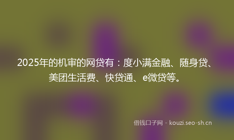 2025年的机审的网贷有：度小满金融、随身贷、美团生活费、快贷通、e微贷等。