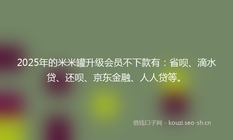 2025年的米米罐升级会员不下款有：省呗、滴水贷、还呗、京东金融、人人贷等。