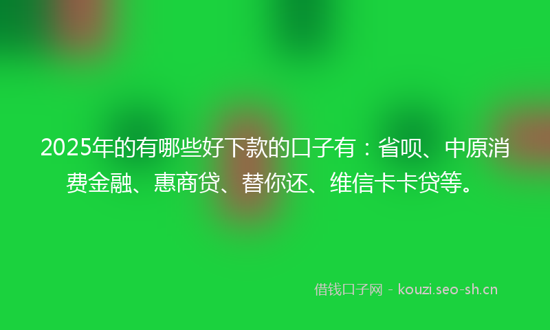 2025年的有哪些好下款的口子有：省呗、中原消费金融、惠商贷、替你还、维信卡卡贷等。