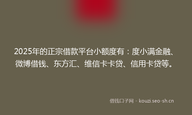 2025年的正宗借款平台小额度有：度小满金融、微博借钱、东方汇、维信卡卡贷、信用卡贷等。