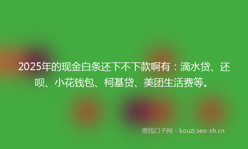 2025年的现金白条还下不下款啊有：滴水贷、还呗、小花钱包、柯基贷、美团生活费等。