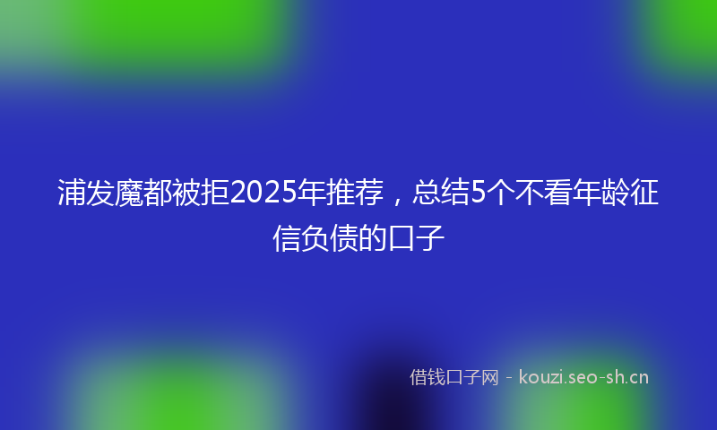 浦发魔都被拒2025年推荐，总结5个不看年龄征信负债的口子