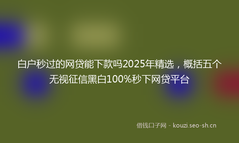 白户秒过的网贷能下款吗2025年精选，概括五个无视征信黑白100%秒下网贷平台