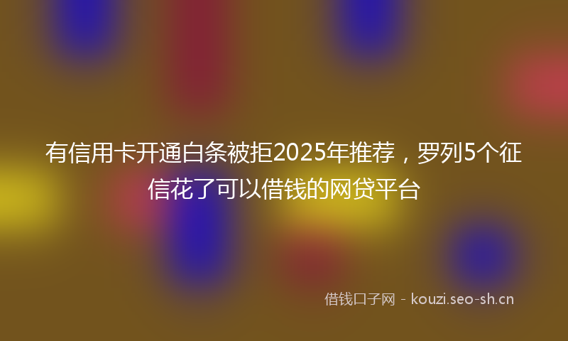 有信用卡开通白条被拒2025年推荐，罗列5个征信花了可以借钱的网贷平台