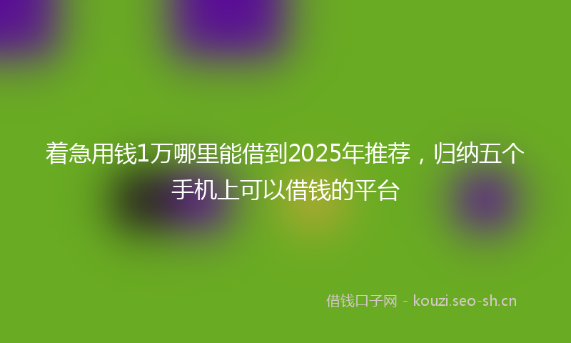 着急用钱1万哪里能借到2025年推荐，归纳五个手机上可以借钱的平台