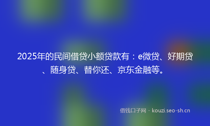 2025年的民间借贷小额贷款有：e微贷、好期贷、随身贷、替你还、京东金融等。