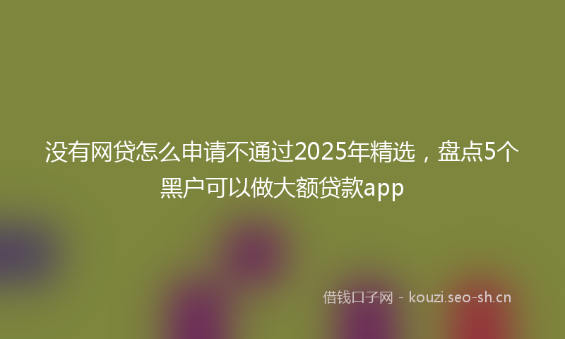 没有网贷怎么申请不通过2025年精选，盘点5个黑户可以做大额贷款app