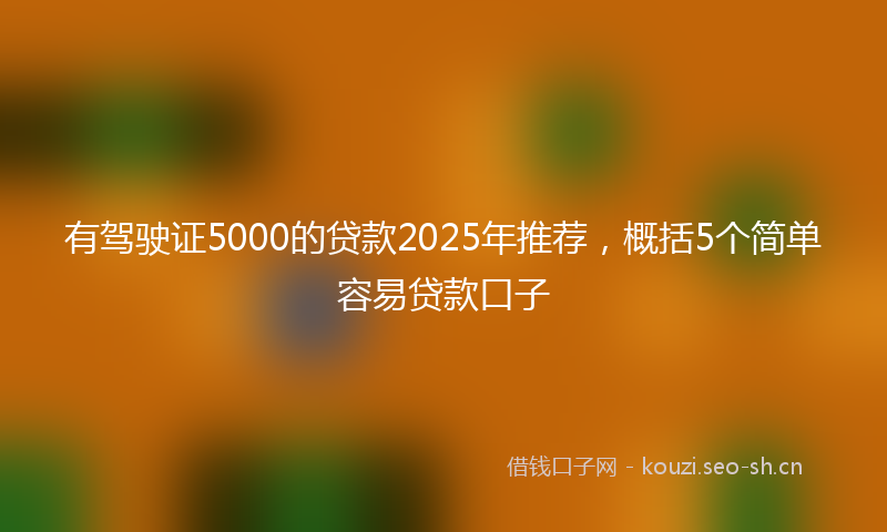 有驾驶证5000的贷款2025年推荐，概括5个简单容易贷款口子