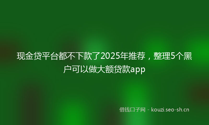 现金贷平台都不下款了2025年推荐，整理5个黑户可以做大额贷款app