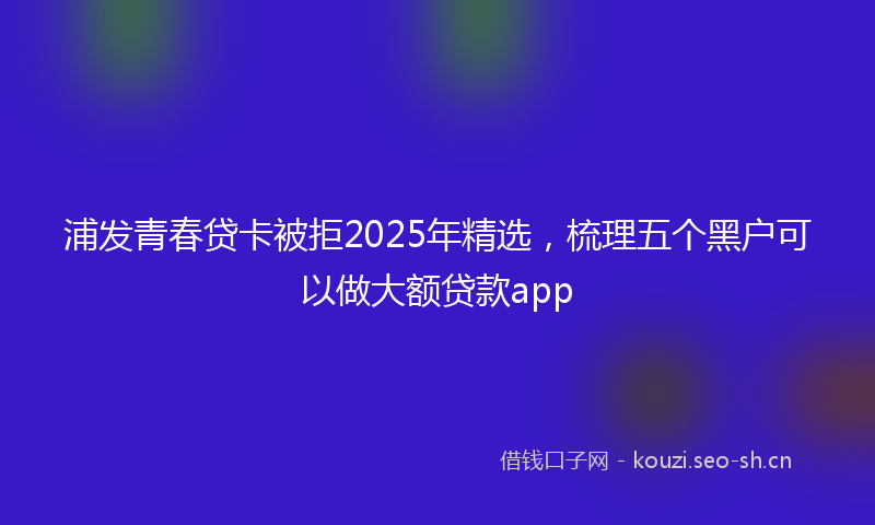 浦发青春贷卡被拒2025年精选，梳理五个黑户可以做大额贷款app
