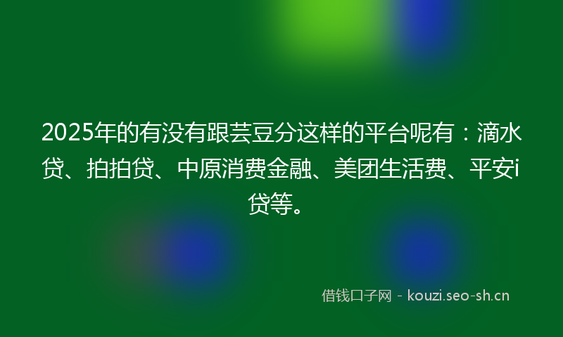 2025年的有没有跟芸豆分这样的平台呢有：滴水贷、拍拍贷、中原消费金融、美团生活费、平安i贷等。