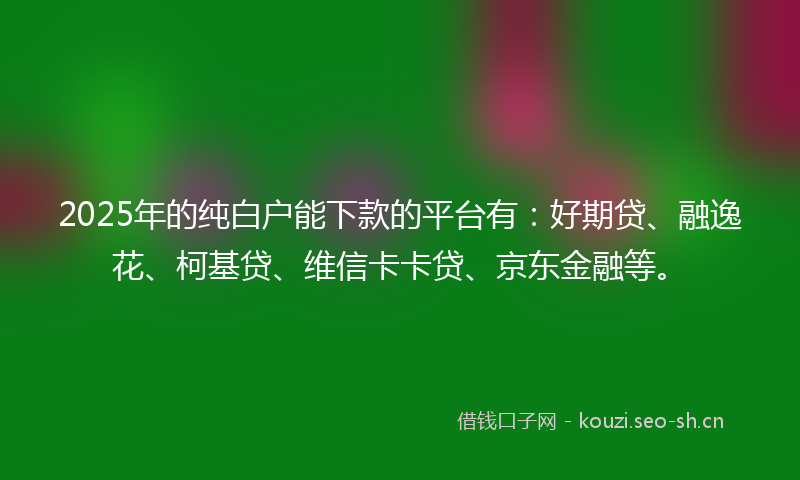 2025年的纯白户能下款的平台有：好期贷、融逸花、柯基贷、维信卡卡贷、京东金融等。