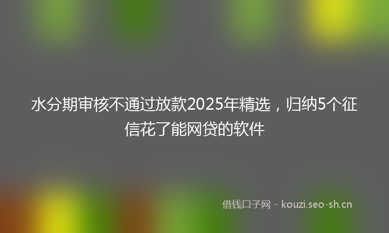 水分期审核不通过放款2025年精选，归纳5个征信花了能网贷的软件