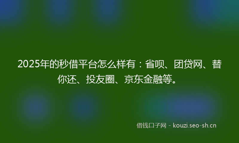 2025年的秒借平台怎么样有：省呗、团贷网、替你还、投友圈、京东金融等。