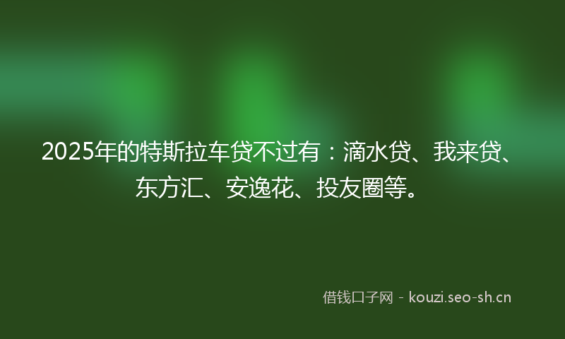 2025年的特斯拉车贷不过有：滴水贷、我来贷、东方汇、安逸花、投友圈等。