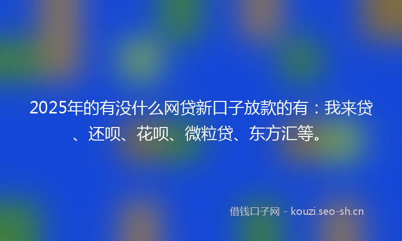 2025年的有没什么网贷新口子放款的有：我来贷、还呗、花呗、微粒贷、东方汇等。