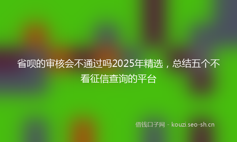 省呗的审核会不通过吗2025年精选，总结五个不看征信查询的平台