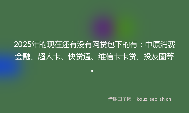 2025年的现在还有没有网贷包下的有：中原消费金融、超人卡、快贷通、维信卡卡贷、投友圈等。