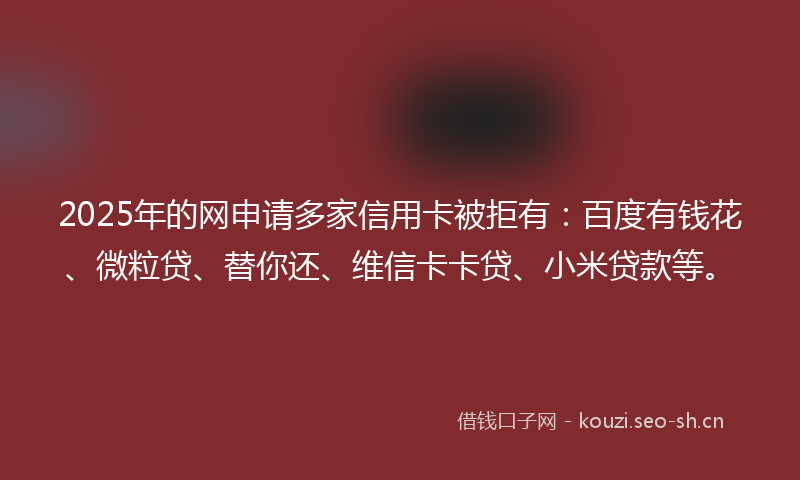 2025年的网申请多家信用卡被拒有：百度有钱花、微粒贷、替你还、维信卡卡贷、小米贷款等。