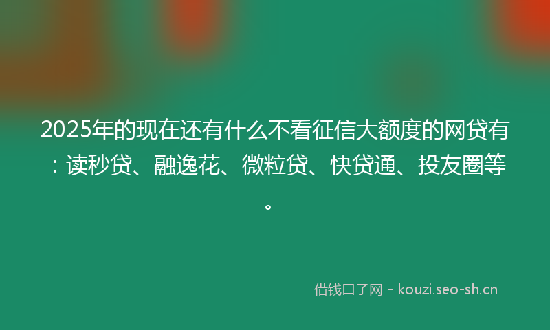 2025年的现在还有什么不看征信大额度的网贷有：读秒贷、融逸花、微粒贷、快贷通、投友圈等。