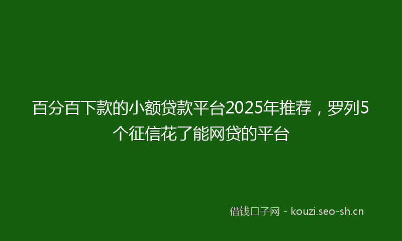 百分百下款的小额贷款平台2025年推荐，罗列5个征信花了能网贷的平台
