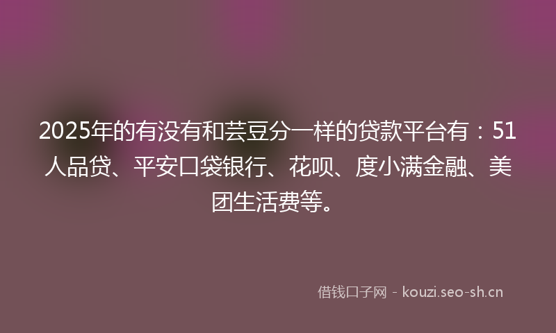 2025年的有没有和芸豆分一样的贷款平台有：51人品贷、平安口袋银行、花呗、度小满金融、美团生活费等。