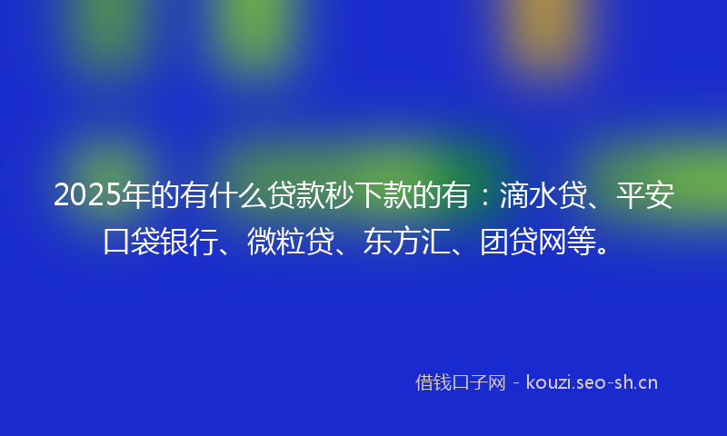 2025年的有什么贷款秒下款的有：滴水贷、平安口袋银行、微粒贷、东方汇、团贷网等。