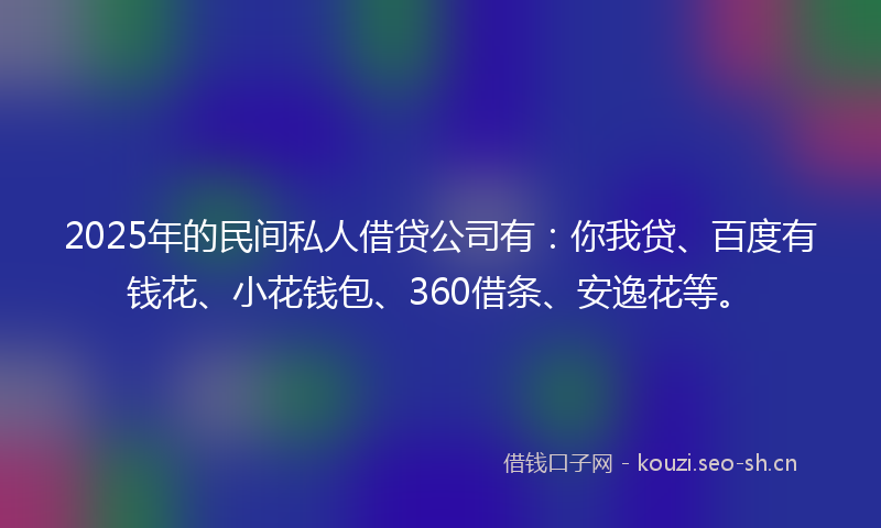 2025年的民间私人借贷公司有：你我贷、百度有钱花、小花钱包、360借条、安逸花等。