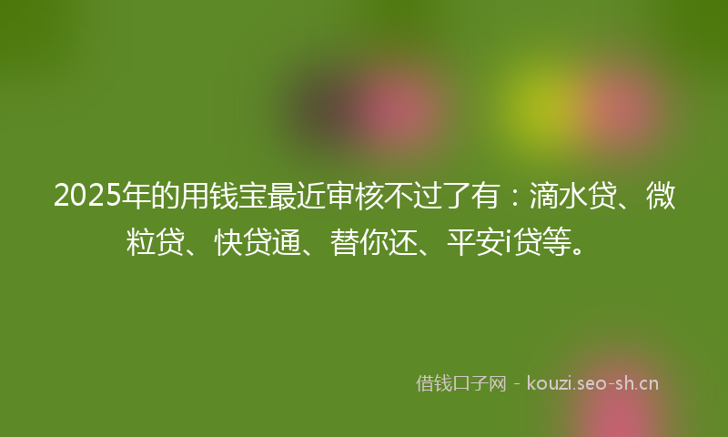 2025年的用钱宝最近审核不过了有：滴水贷、微粒贷、快贷通、替你还、平安i贷等。