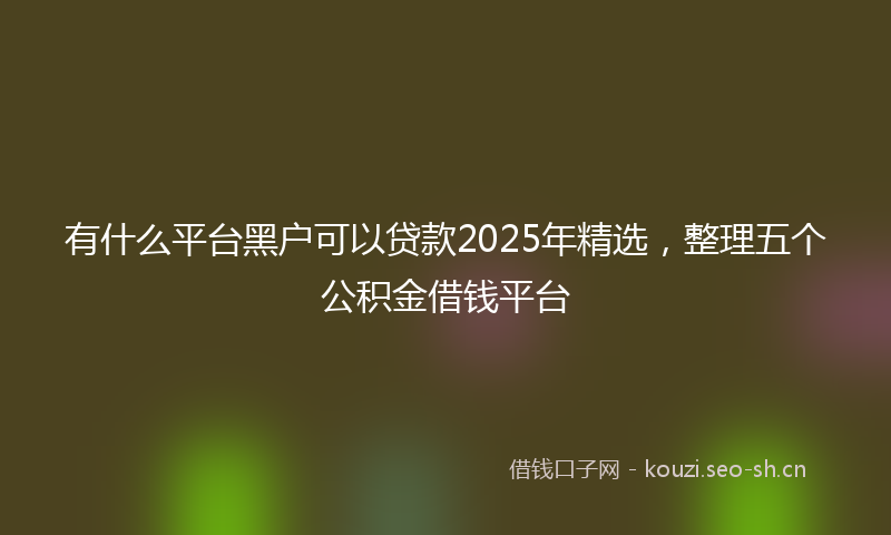 有什么平台黑户可以贷款2025年精选，整理五个公积金借钱平台
