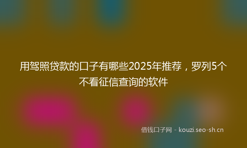 用驾照贷款的口子有哪些2025年推荐，罗列5个不看征信查询的软件