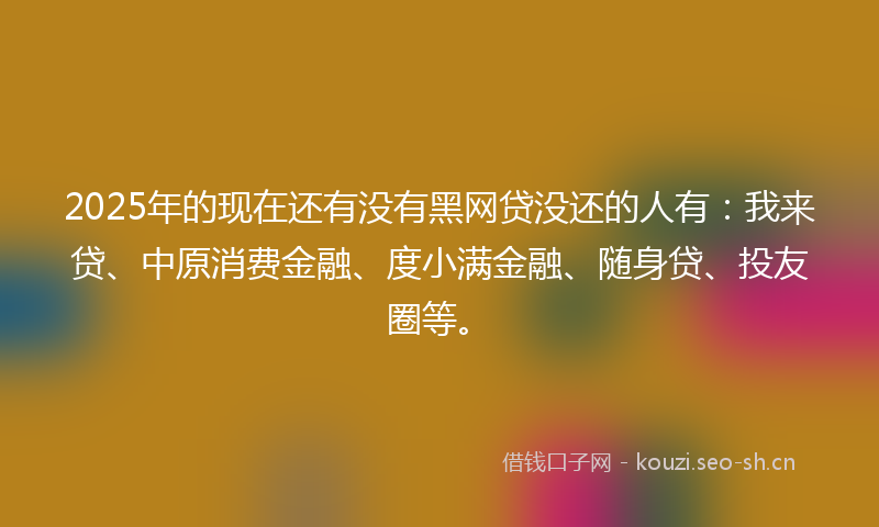 2025年的现在还有没有黑网贷没还的人有：我来贷、中原消费金融、度小满金融、随身贷、投友圈等。