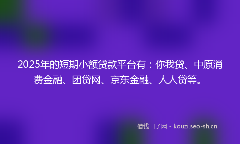 2025年的短期小额贷款平台有：你我贷、中原消费金融、团贷网、京东金融、人人贷等。